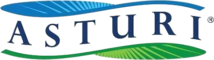 Asturi